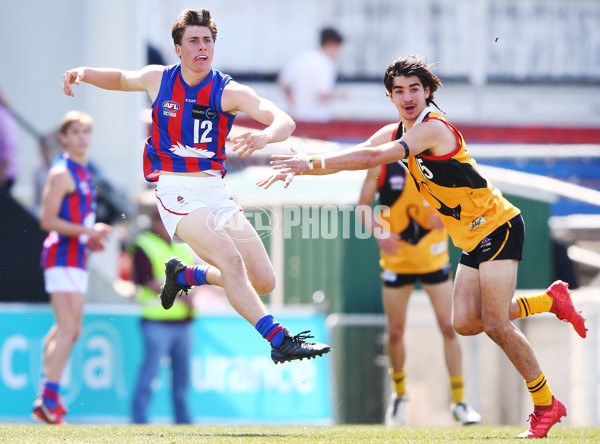 TAC Cup 2018 Grand Final - Dandenong v Oakleigh - 631873