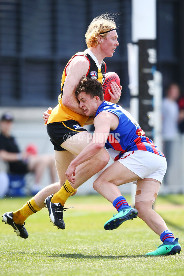 TAC Cup 2018 Grand Final - Dandenong v Oakleigh - 631883