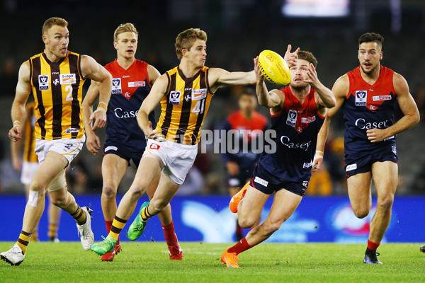 VFL 2018 Grand Final - Box Hill v Casey - 632661