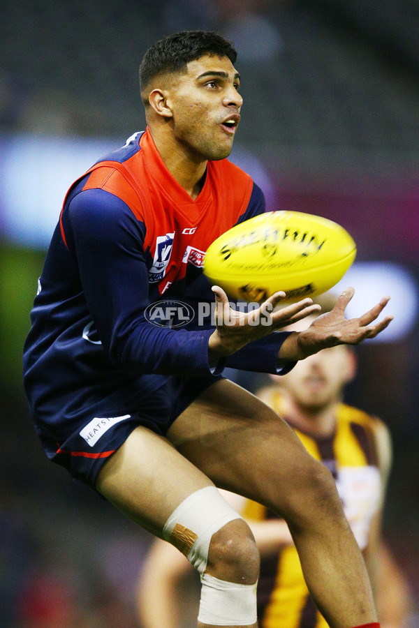 VFL 2018 Grand Final - Box Hill v Casey - 632671