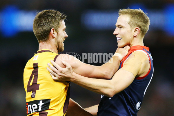 VFL 2018 Grand Final - Box Hill v Casey - 632684