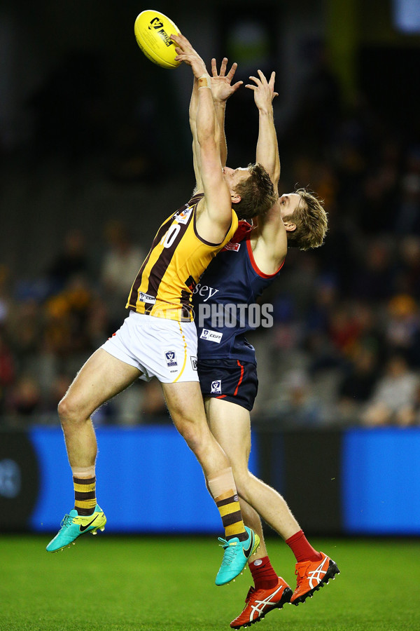 VFL 2018 Grand Final - Box Hill v Casey - 632725