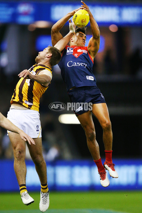 VFL 2018 Grand Final - Box Hill v Casey - 632700