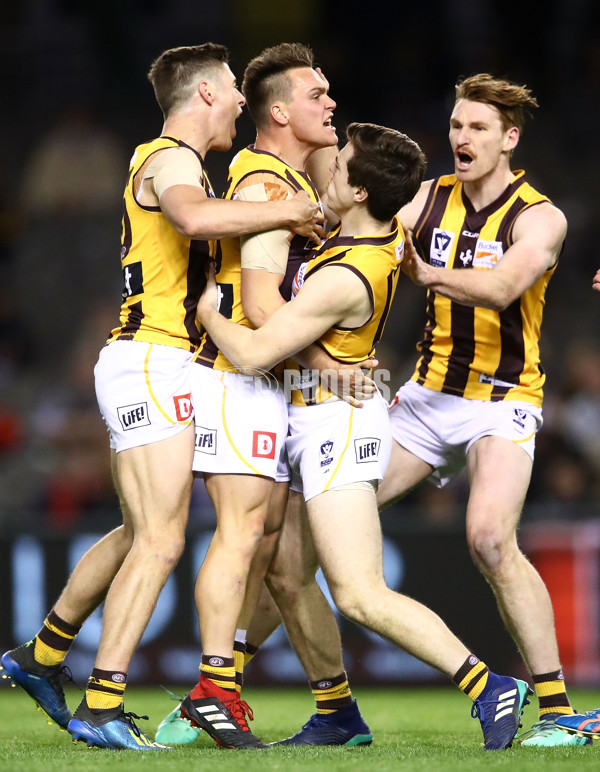 VFL 2018 Grand Final - Box Hill v Casey - 632789