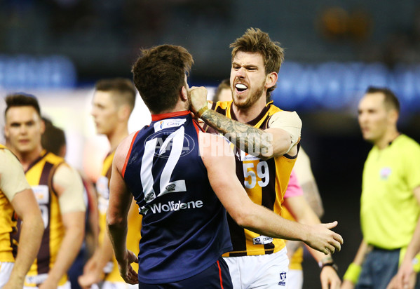 VFL 2018 Grand Final - Box Hill v Casey - 632777