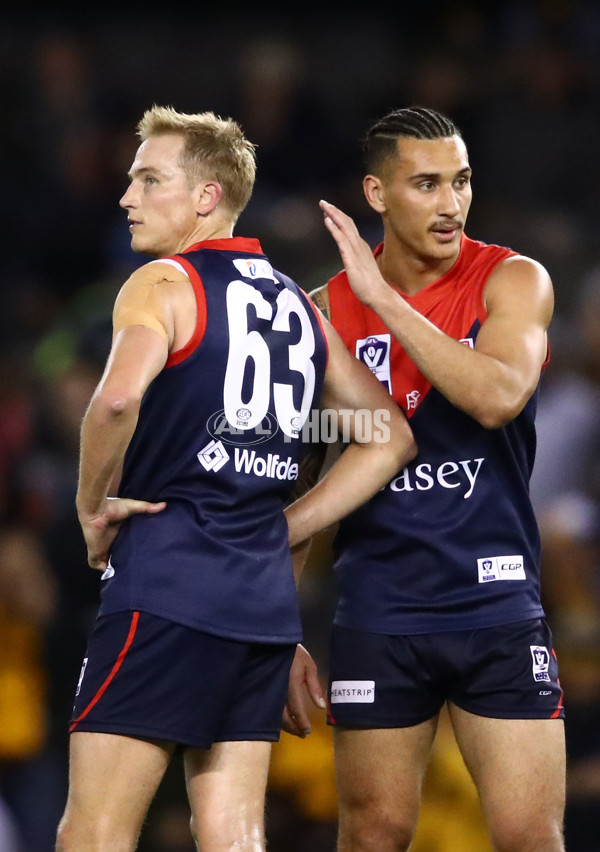 VFL 2018 Grand Final - Box Hill v Casey - 632831