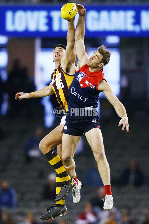 VFL 2018 Grand Final - Box Hill v Casey - 632660