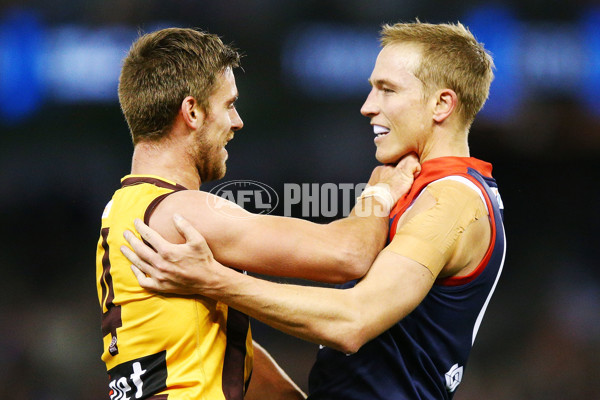 VFL 2018 Grand Final - Box Hill v Casey - 632685