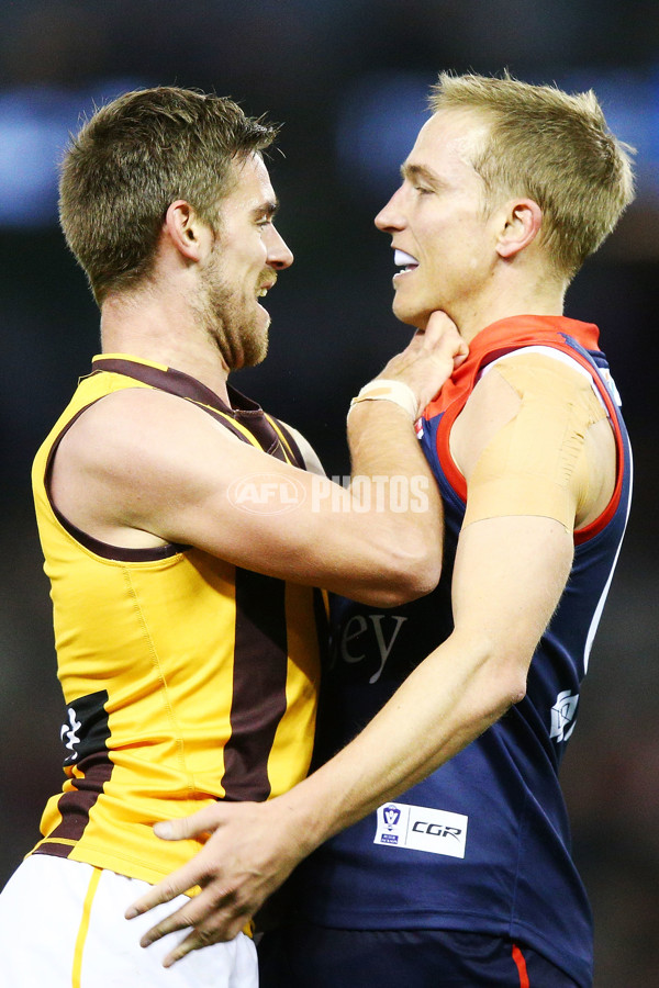 VFL 2018 Grand Final - Box Hill v Casey - 632686