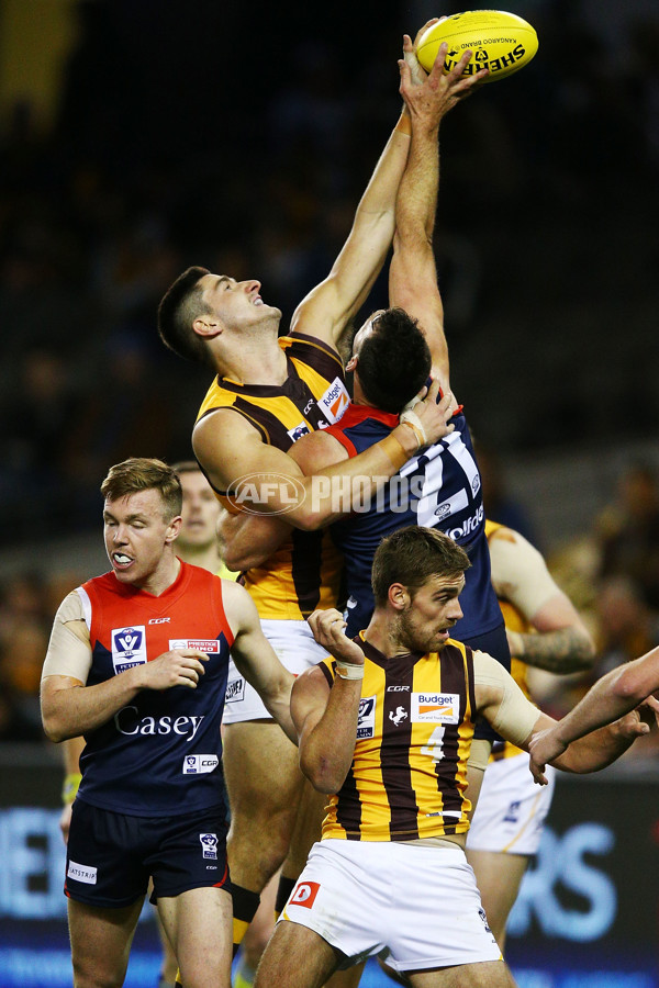 VFL 2018 Grand Final - Box Hill v Casey - 632721