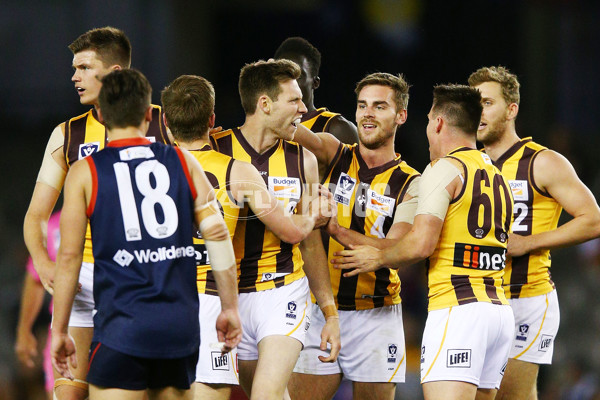 VFL 2018 Grand Final - Box Hill v Casey - 632754