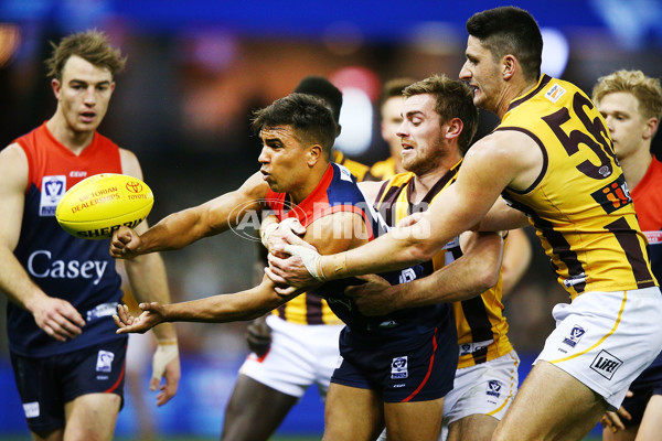 VFL 2018 Grand Final - Box Hill v Casey - 632783