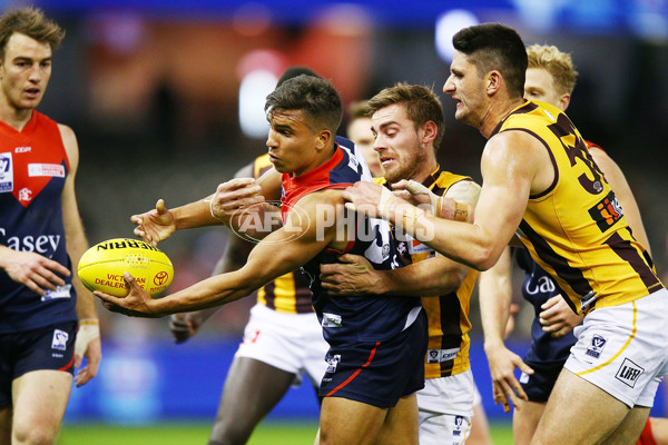 VFL 2018 Grand Final - Box Hill v Casey - 632784