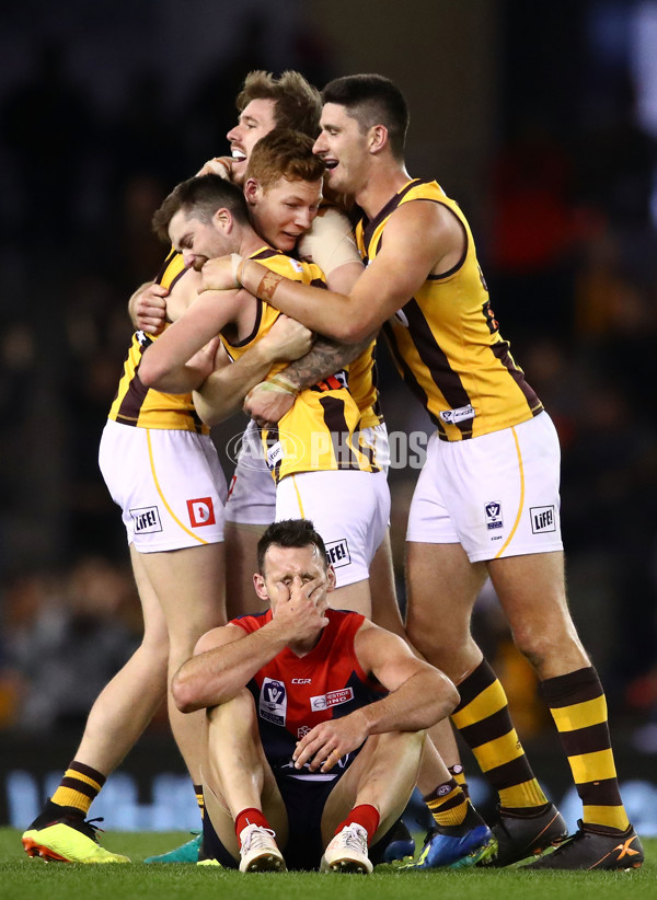 VFL 2018 Grand Final - Box Hill v Casey - 632840