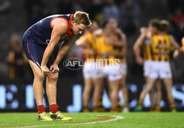 VFL 2018 Grand Final - Box Hill v Casey - 632844