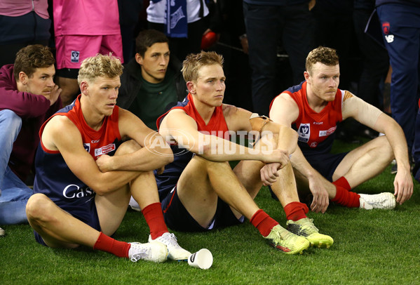 VFL 2018 Grand Final - Box Hill v Casey - 632858