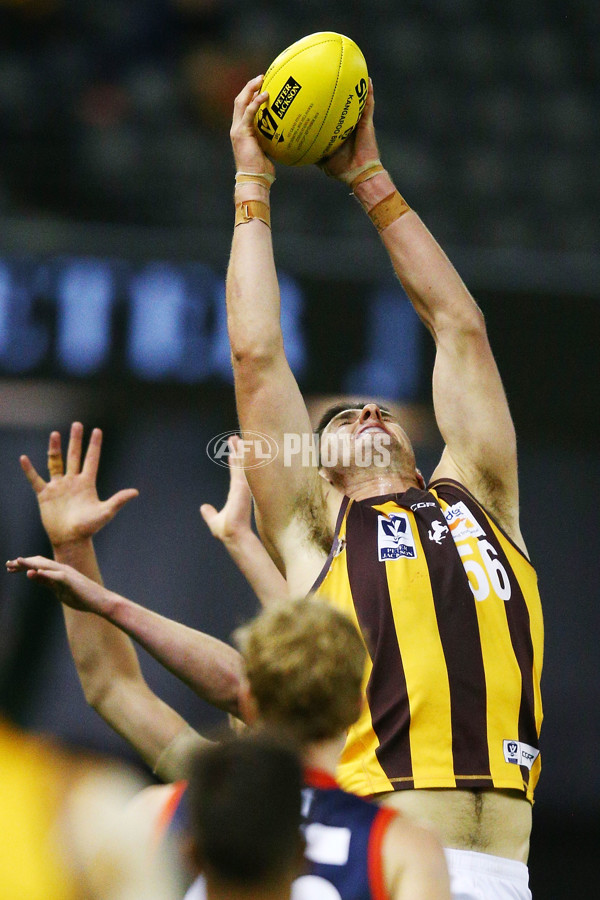 VFL 2018 Grand Final - Box Hill v Casey - 632874