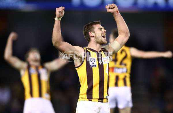 VFL 2018 Grand Final - Box Hill v Casey - 632864