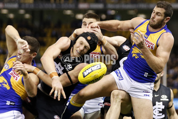 AFL 2019 Round 20 - Carlton v West Coast - 702674