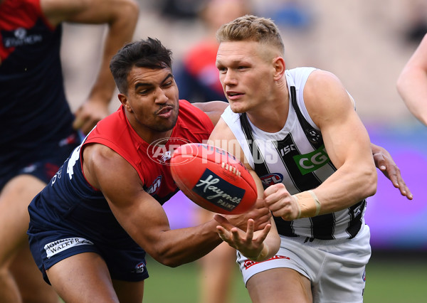 AFL 2019 Round 21 - Melbourne v Collingwood - 703447