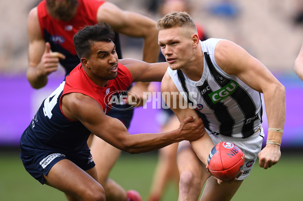 AFL 2019 Round 21 - Melbourne v Collingwood - 703448