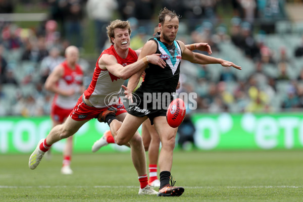 AFL 2019 Round 21 - Port Adelaide v Sydney - 703545