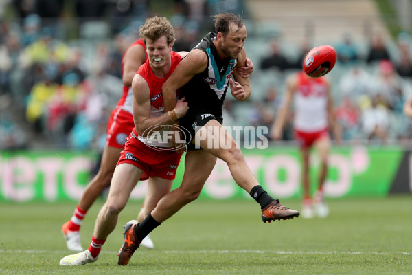 AFL 2019 Round 21 - Port Adelaide v Sydney - 703547