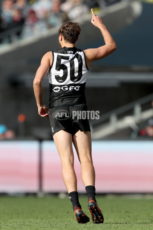 AFL 2019 Round 21 - Port Adelaide v Sydney - 703587