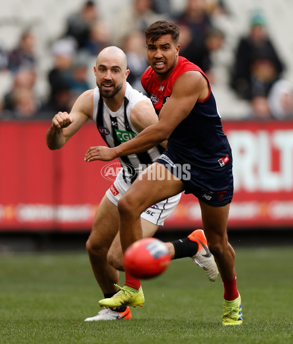 AFL 2019 Round 21 - Melbourne v Collingwood - 703681