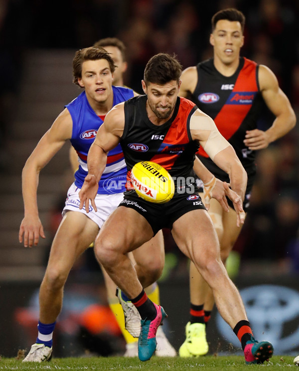 AFL 2019 Round 21 - Essendon v Western Bulldogs - 703883