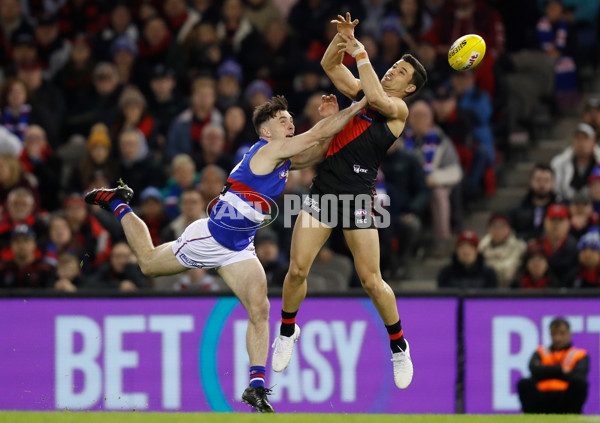 AFL 2019 Round 21 - Essendon v Western Bulldogs - 703951