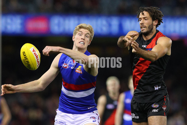 AFL 2019 Round 21 - Essendon v Western Bulldogs - 703871