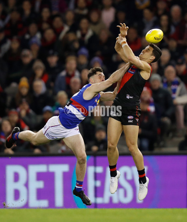 AFL 2019 Round 21 - Essendon v Western Bulldogs - 703952