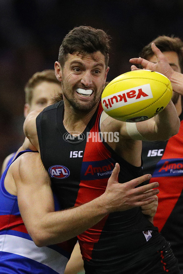 AFL 2019 Round 21 - Essendon v Western Bulldogs - 704030