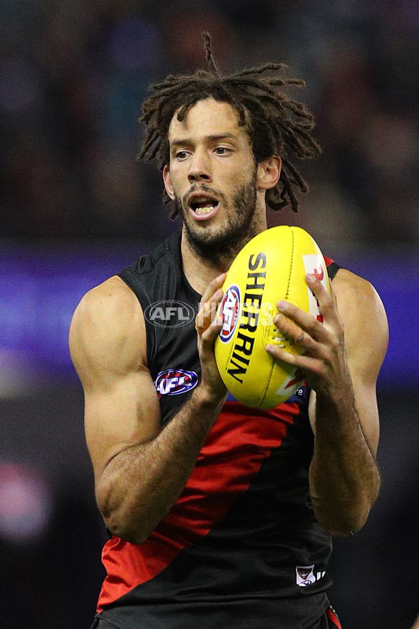 AFL 2019 Round 21 - Essendon v Western Bulldogs - 704006