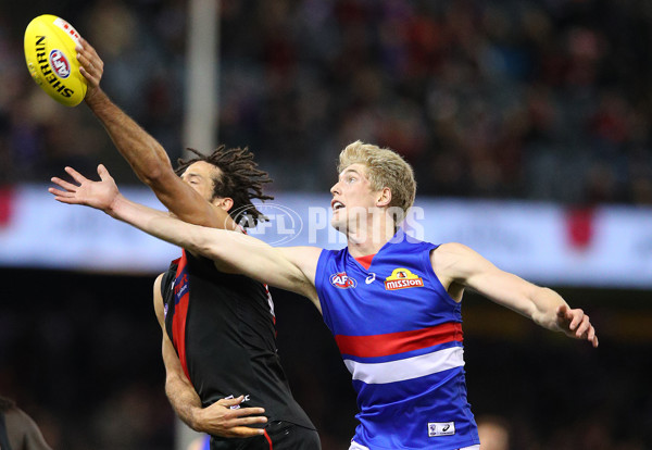 AFL 2019 Round 21 - Essendon v Western Bulldogs - 704029