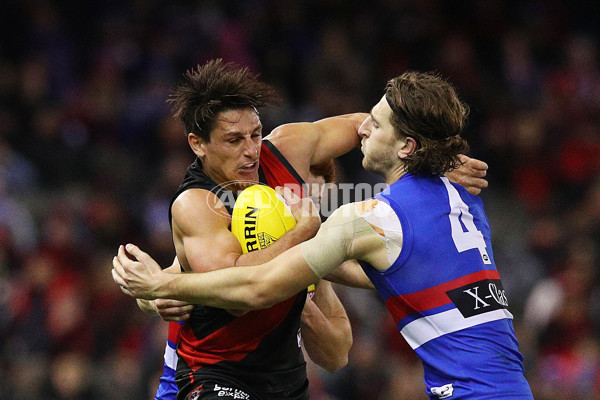 AFL 2019 Round 21 - Essendon v Western Bulldogs - 704057