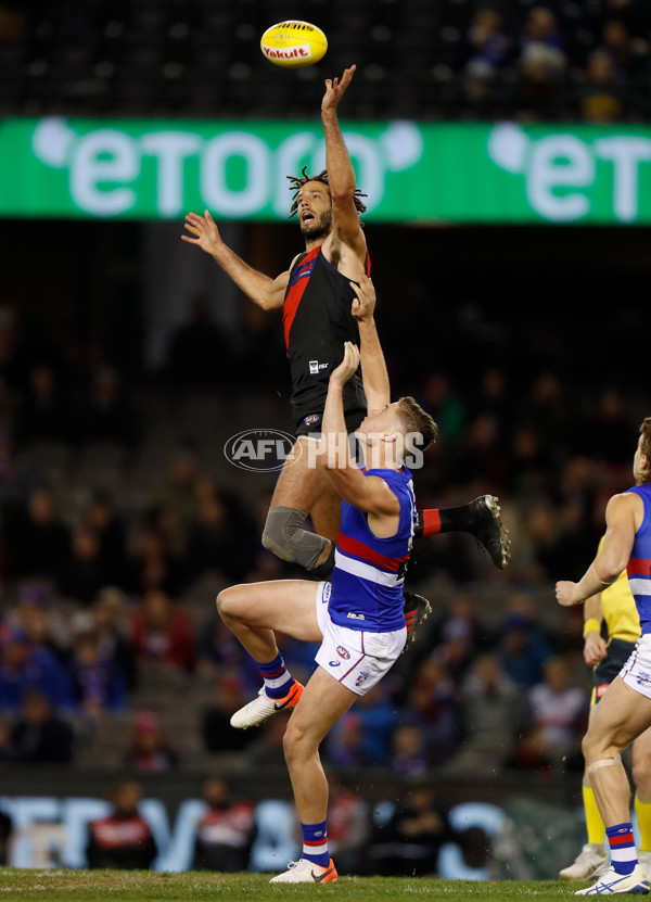 AFL 2019 Round 21 - Essendon v Western Bulldogs - 704170