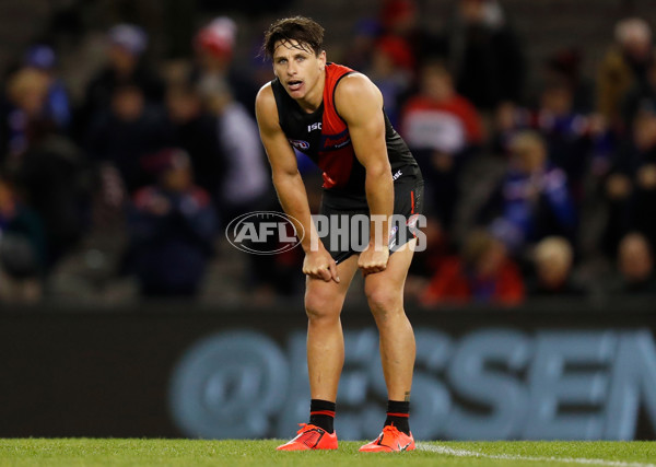 AFL 2019 Round 21 - Essendon v Western Bulldogs - 704248