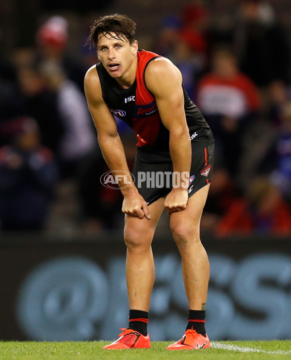 AFL 2019 Round 21 - Essendon v Western Bulldogs - 704247