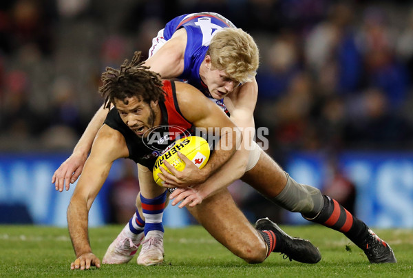 AFL 2019 Round 21 - Essendon v Western Bulldogs - 704317