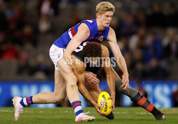 AFL 2019 Round 21 - Essendon v Western Bulldogs - 704318