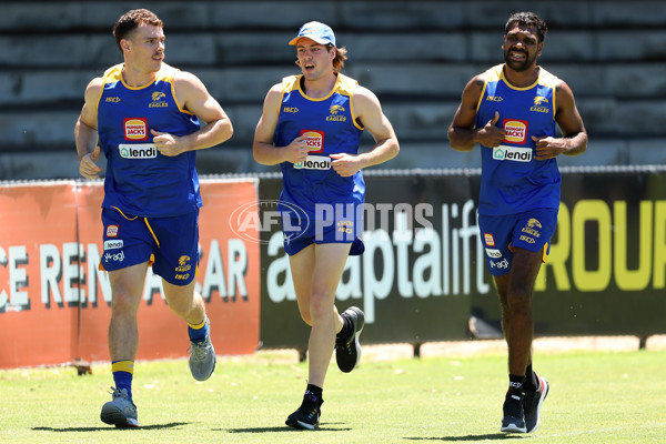 AFL 2019 Training - West Coast Eagles 021219 - 725653