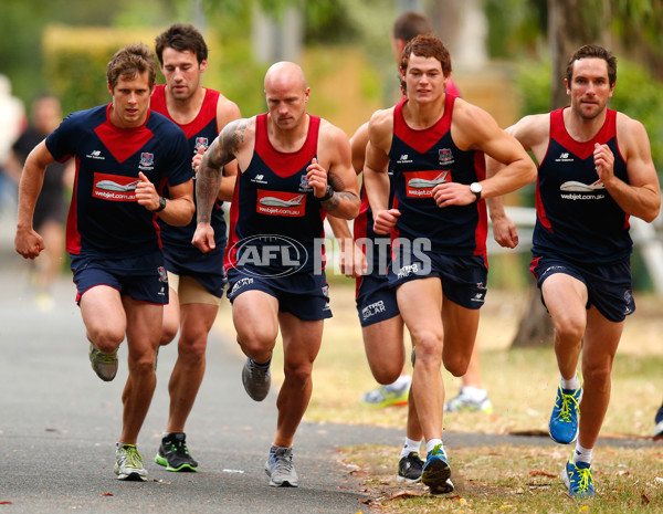 AFL 2013 Training - Melbourne 090113 - 274013