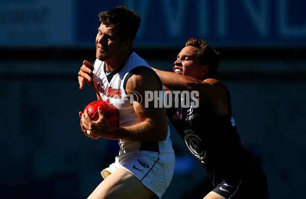 AFL 2013 Training - Carlton Intra-Club - 274980