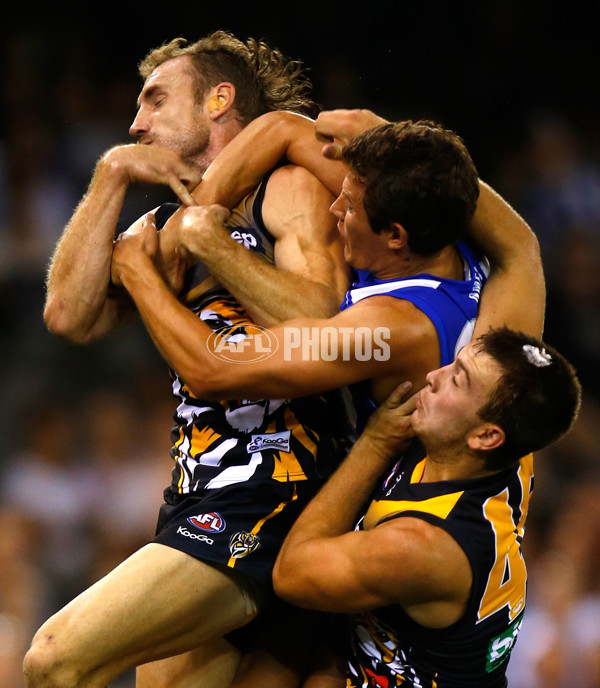 AFL 2013 NAB Cup Rd 01 - North Melbourne v Richmond - 276089