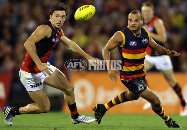 AFL 2013 Rd 01 - Adelaide v Essendon - 279666