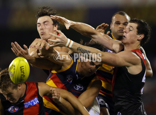 AFL 2013 Rd 01 - Adelaide v Essendon - 279648