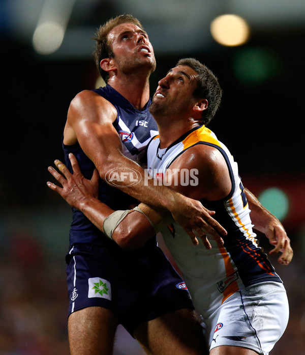 AFL 2013 Rd 01 - Fremantle v West Coast - 279784