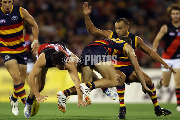 AFL 2013 Rd 01 - Adelaide v Essendon - 279808